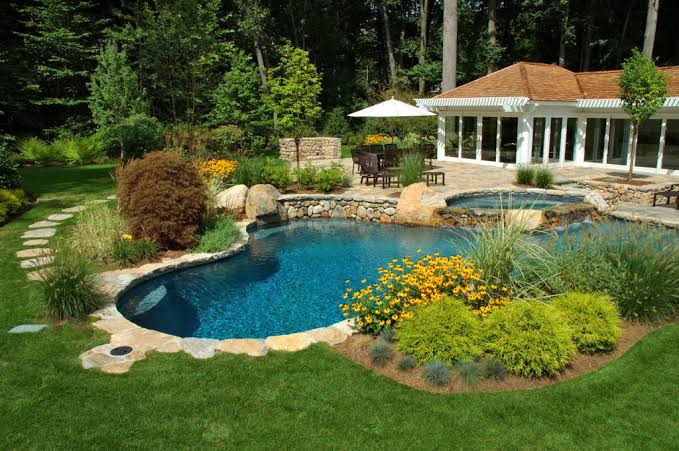 Swimming Pool Plant