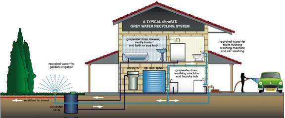 Grey Water Plant